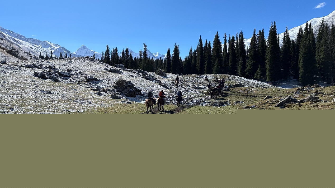 山坡上的樹林

描述已自動生成